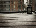 User submitted image of Fizzy Poplar, E14