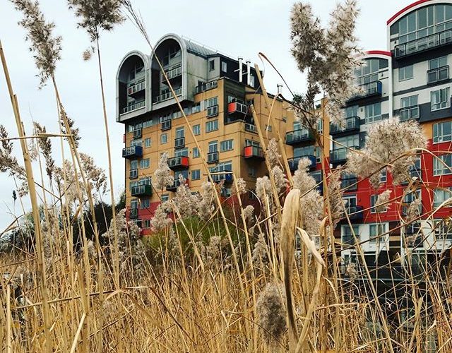 Greenwich Millennium Village, SE10