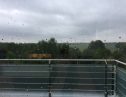 Gunnersbury Park balcony