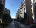 Chelsea Creek development