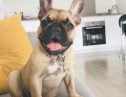 User submitted image of Fizzy Hayes, UB3