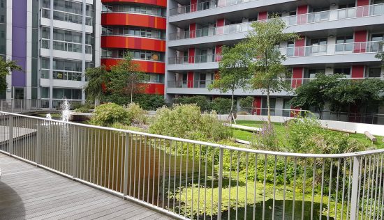 User submitted image of Fizzy Canning Town, E16
