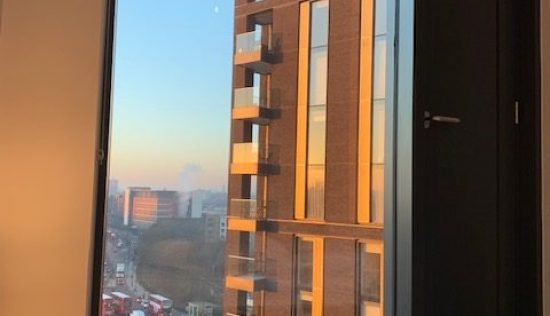 User submitted image of Fizzy Lewisham, SE13