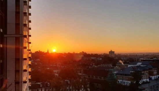 User submitted image of Fizzy Lewisham, SE13