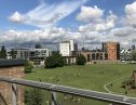 User submitted image of Fizzy Poplar, E14