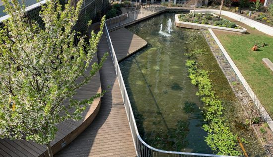 User submitted image of Fizzy Canning Town, E16