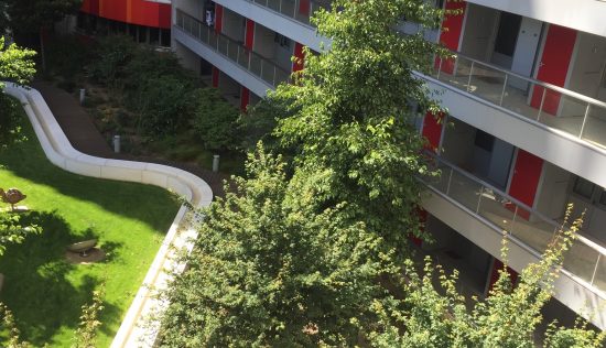 User submitted image of Fizzy Canning Town, E16