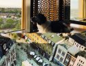 User submitted image of Vantage Point, N19