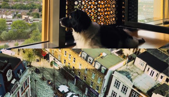 User submitted image of Vantage Point, N19