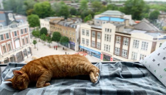 User submitted image of Vantage Point, N19