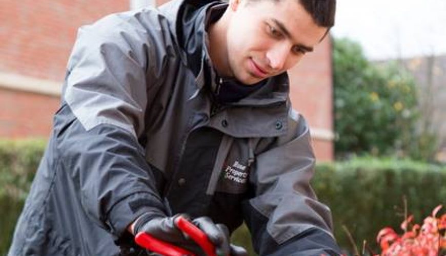 A2Dominion Rental Only Reviews HomeViews