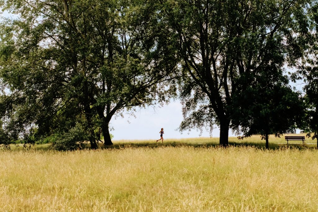 Hampstead Heath