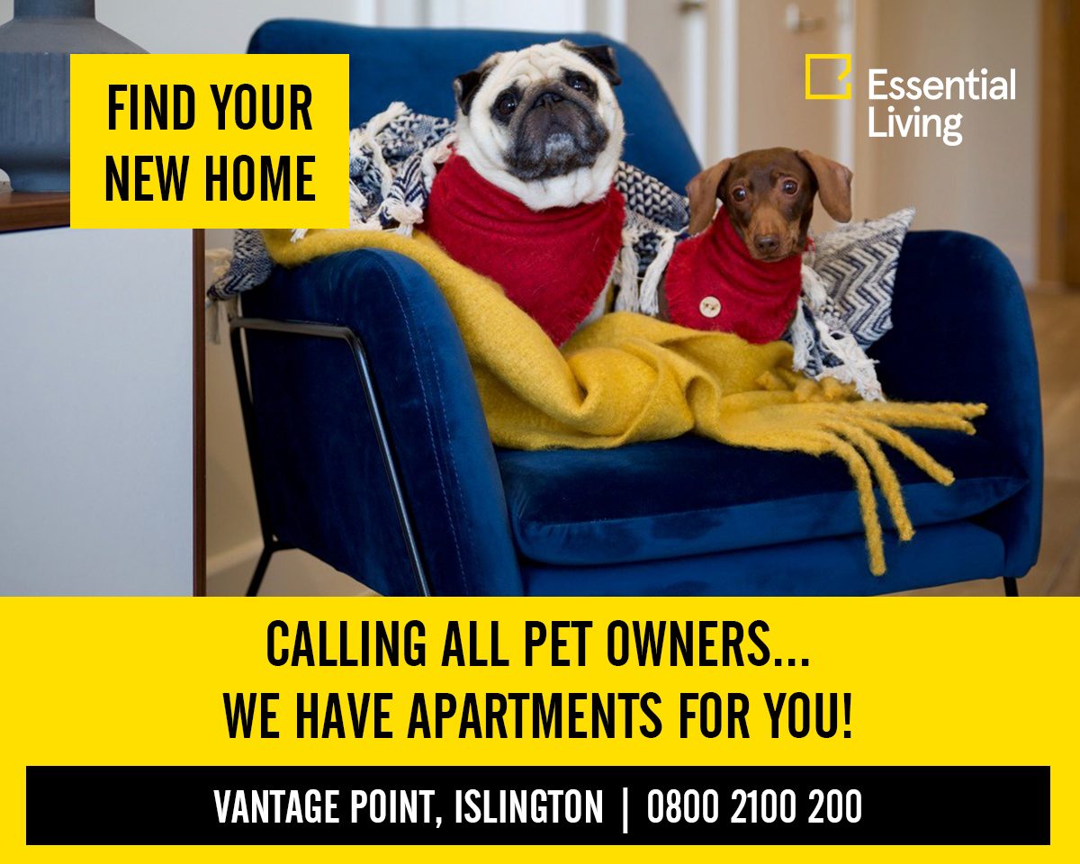 Reviews of Vantage Point, N19 HomeViews