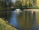 User submitted image of Fizzy Epsom, KT19