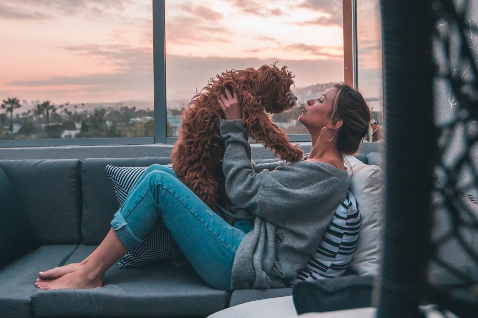 pet friendly apartment dog owner