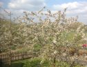 User submitted image of Waterside Park, UB7