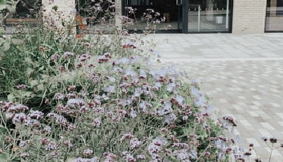 User submitted image of Tillermans at Greenford Quay, UB6