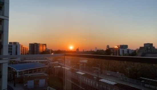 User submitted image of Fizzy Lewisham, SE13