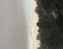 User submitted image of Fizzy Lewisham, SE13