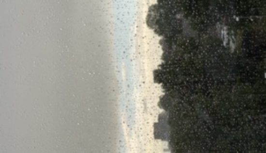 User submitted image of Fizzy Lewisham, SE13