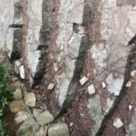 User submitted image of Heathlands, GU16