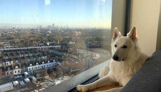 User submitted image of Vantage Point, N19