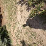 User submitted image of Heathlands, GU16
