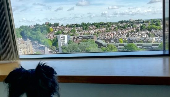 User submitted image of Vantage Point, N19