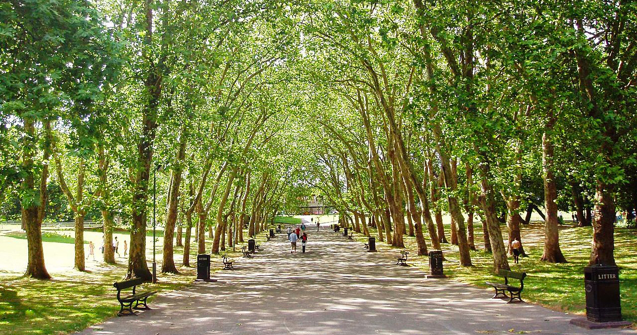 10 best places to live in South London HomeViews