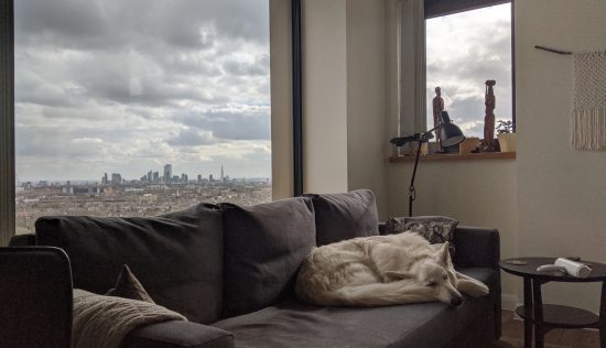 User submitted image of Vantage Point, N19