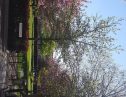 User submitted image of Beaufort Park, NW9