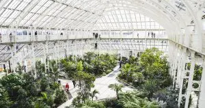 Tropical greenhouse at Kew Gardens
