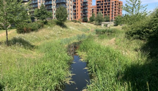 User submitted image of Kidbrooke Village, SE3
