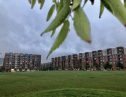 User submitted image of Colindale Gardens, NW9