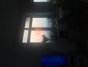 User submitted image of Fizzy Canning Town, E16