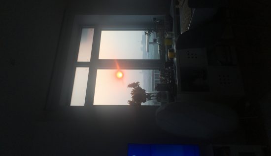 User submitted image of Fizzy Canning Town, E16