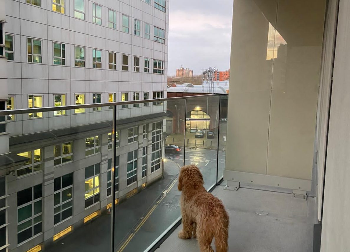 Chapel Wharf, M3 Reviews HomeViews