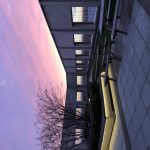 User submitted image of  Fizzy Hayes, UB3