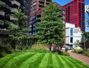 User submitted image of London City Island, E14