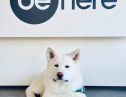 User submitted image of be:here Hayes, UB3