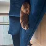 User submitted image of The Green Rooms MediaCityUK, M50
