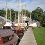 Norfolk broads sailing