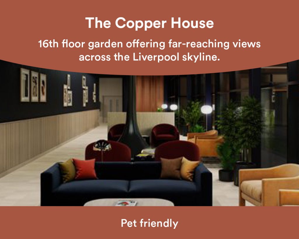 The Copper House