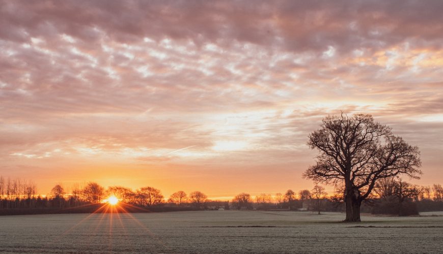 Buckinghamshire