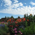 kent garden in sissinghurst