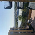 User submitted image of The Lane, N17