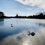 Staffordshire lichfield cathedral