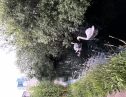 User submitted image of Woodberry Down, N4