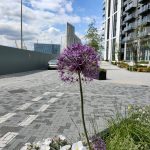 User submitted image of  No.5 Upper Riverside, Greenwich Peninsula, SE10