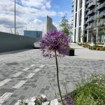 User submitted image of No.5 Upper Riverside, Greenwich Peninsula, SE10